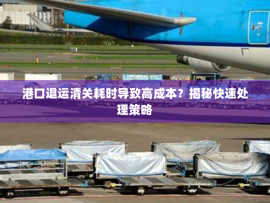 港口退运清关耗时导致高成本?揭秘快速处理策略 港口退运清关耗时导致高成本?揭秘快速处理策略