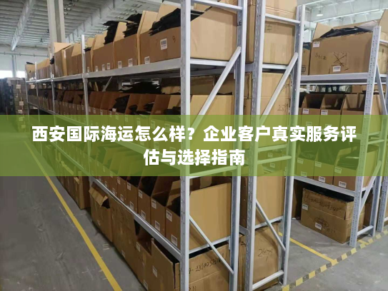 西安国际海运怎么样？企业客户真实服务评估与选择指南