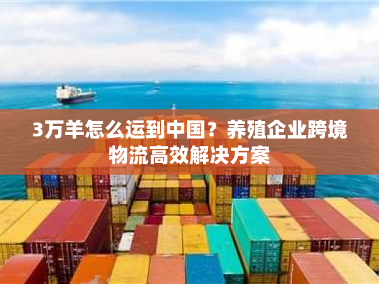 3万羊怎么运到中国？养殖企业跨境物流高效解决方案