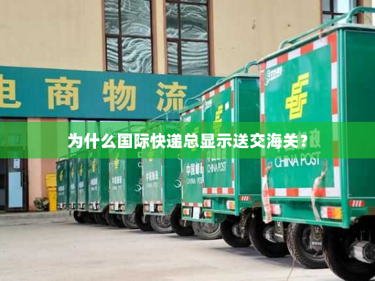 为什么国际快递总显示送交海关? 为什么国际快递总显示送交海关?