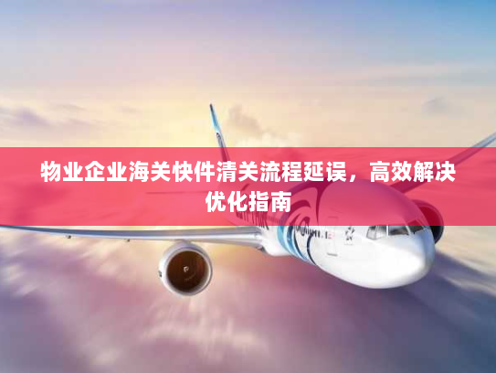 物业企业海关快件清关流程延误,高效解决优化指南 物业企业海关快件清关流程延误,高效解决优化指南