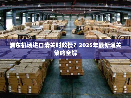 浦东机场进口清关时效慢？2025年最新通关策略全解