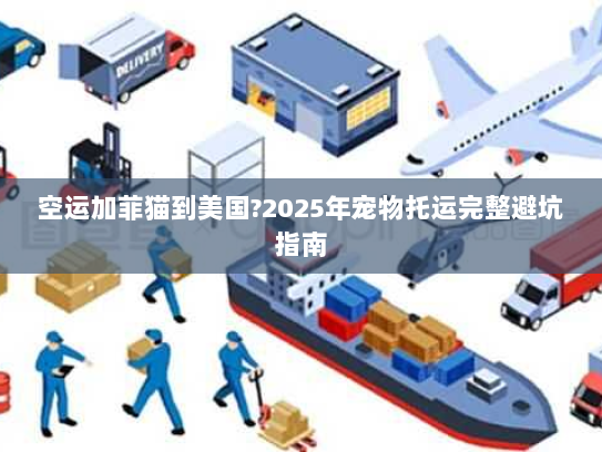 空运加菲猫到美国?2025年宠物托运完整避坑指南