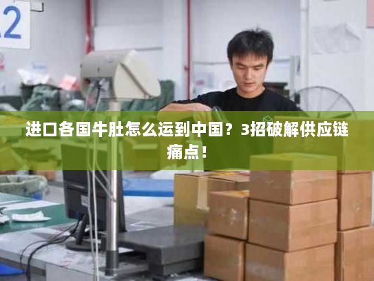 进口各国牛肚怎么运到中国？3招破解供应链痛点！