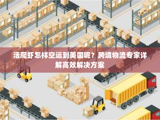 活爬虾怎样空运到美国呢？跨境物流专家详解高效解决方案