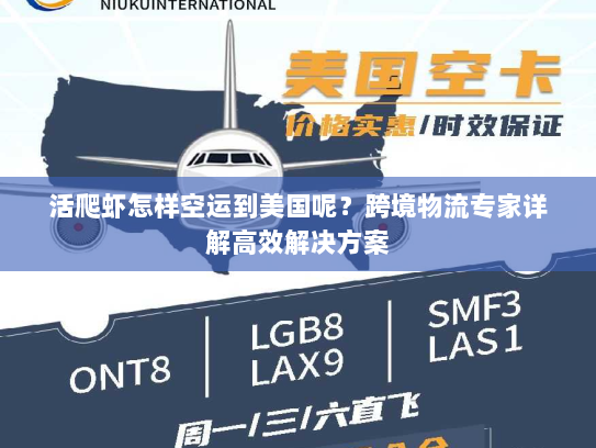 活爬虾怎样空运到美国呢?跨境物流专家详解高效解决方案 活爬虾怎样空运到美国呢?跨境物流专家详解高效解决方案