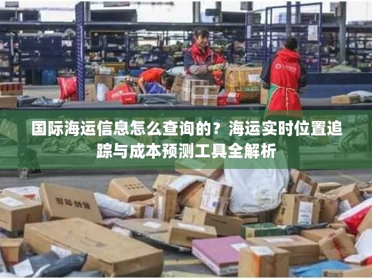 国际海运信息怎么查询的？海运实时位置追踪与成本预测工具全解析