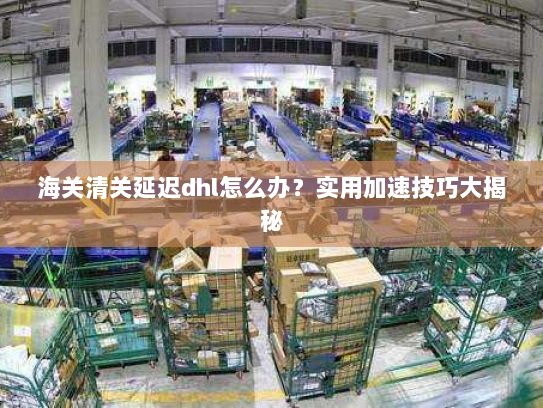 海关清关延迟dhl怎么办?实用加速技巧大揭秘 海关清关延迟dhl怎么办?实用加速技巧大揭秘