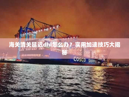 海关清关延迟dhl怎么办？实用加速技巧大揭秘