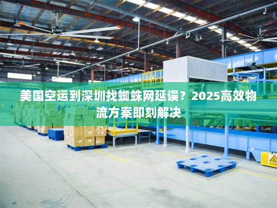 美国空运到深圳找蜘蛛网延误?2025高效物流方案即刻解决 美国空运到深圳找蜘蛛网延误?2025高效物流方案即刻解决