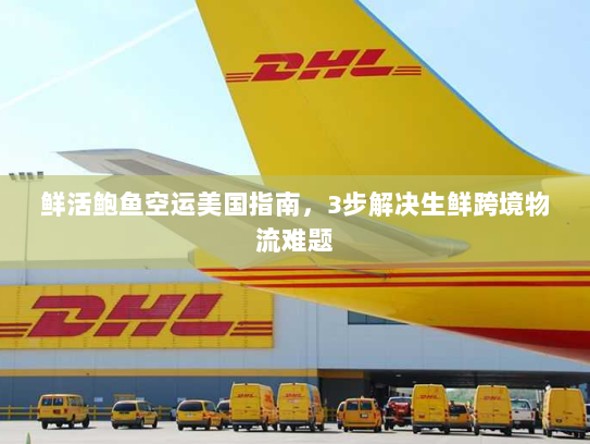 鲜活鲍鱼空运美国指南,3步解决生鲜跨境物流难题 鲜活鲍鱼空运美国指南,3步解决生鲜跨境物流难题
