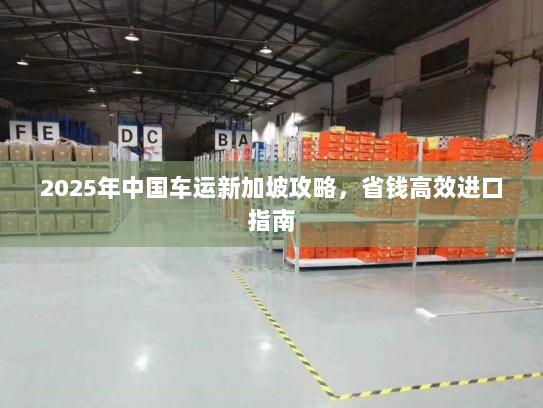 2025年中国车运新加坡攻略,省钱高效进口指南 2025年中国车运新加坡攻略,省钱高效进口指南