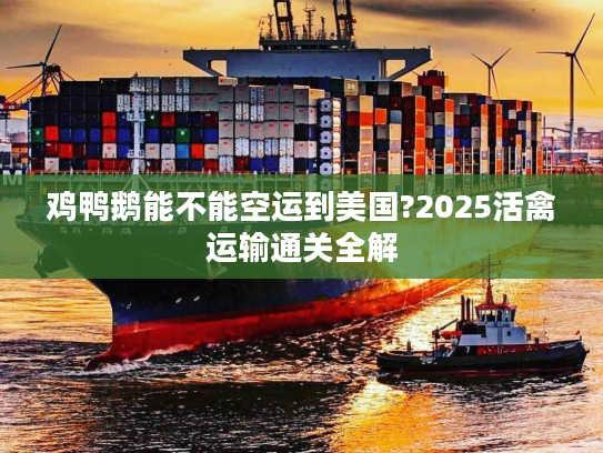 鸡鸭鹅能不能空运到美国?2025活禽运输通关全解