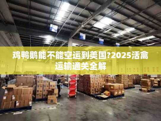鸡鸭鹅能不能空运到美国?2025活禽运输通关全解