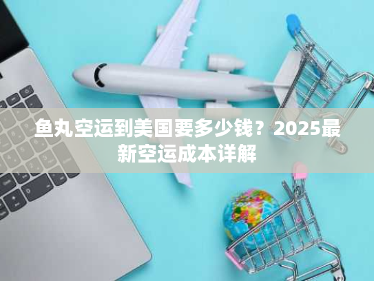 鱼丸空运到美国要多少钱？2025最新空运成本详解