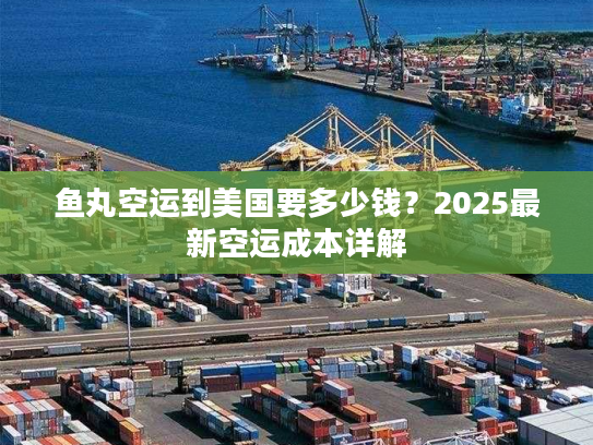 鱼丸空运到美国要多少钱？2025最新空运成本详解