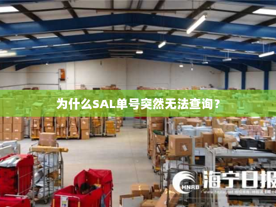 为什么SAL单号突然无法查询？