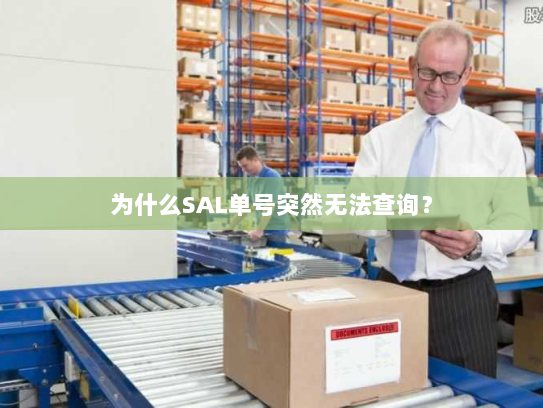 为什么SAL单号突然无法查询？