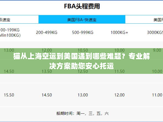 猫从上海空运到美国遇到哪些难题?专业解决方案助您安心托运 猫从上海空运到美国遇到哪些难题?专业解决方案助您安心托运