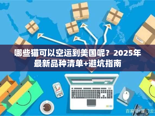 哪些猫可以空运到美国呢？2025年最新品种清单+避坑指南