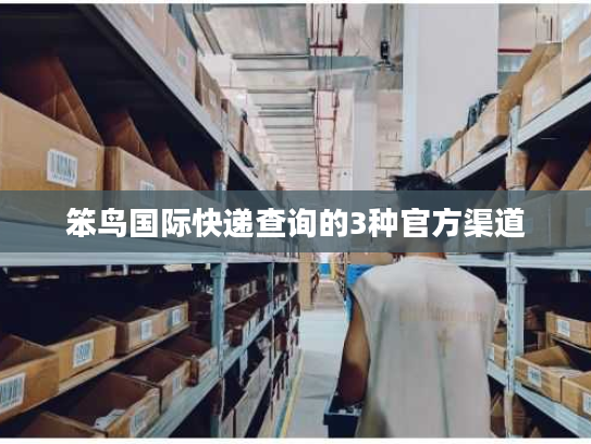 笨鸟国际快递查询的3种官方渠道