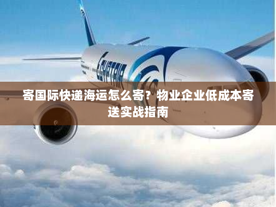 寄国际快递海运怎么寄?物业企业低成本寄送实战指南 寄国际快递海运怎么寄?物业企业低成本寄送实战指南