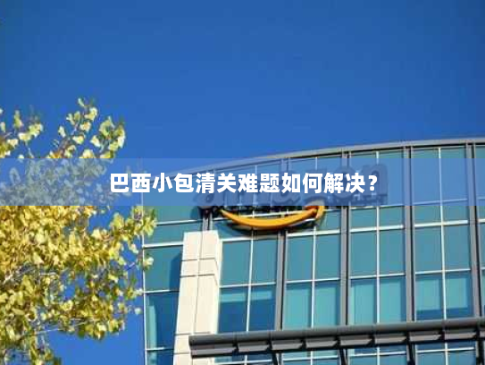 巴西小包清关难题如何解决？