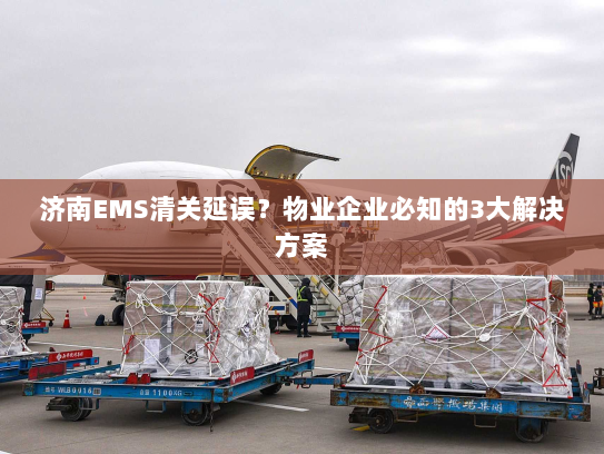 济南EMS清关延误？物业企业必知的3大解决方案