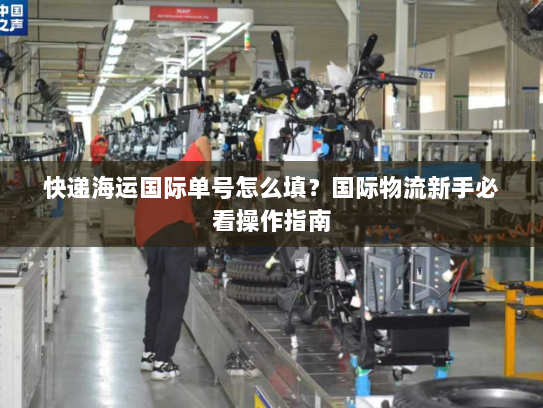 快递海运国际单号怎么填？国际物流新手必看操作指南