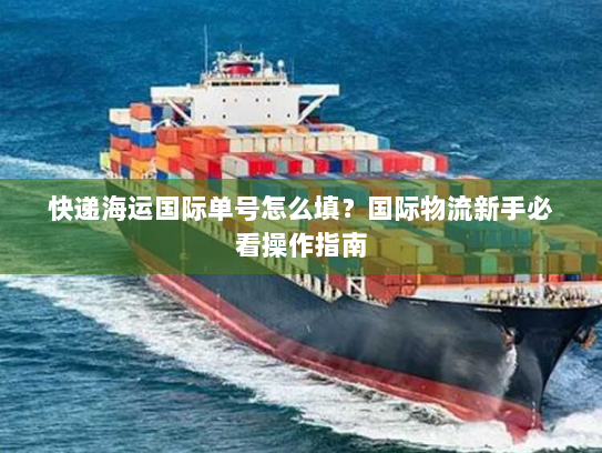 快递海运国际单号怎么填?国际物流新手必看操作指南 快递海运国际单号怎么填?国际物流新手必看操作指南