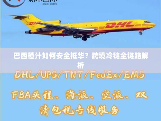 巴西橙汁如何安全抵华？跨境冷链全链路解析