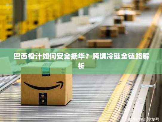 巴西橙汁如何安全抵华？跨境冷链全链路解析