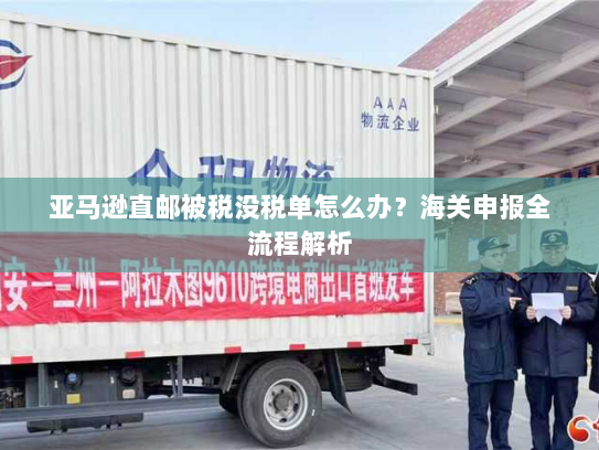 亚马逊直邮被税没税单怎么办?海关申报全流程解析 亚马逊直邮被税没税单怎么办?海关申报全流程解析