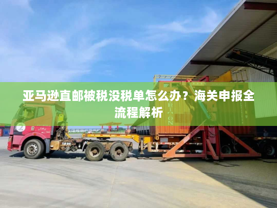亚马逊直邮被税没税单怎么办?海关申报全流程解析 亚马逊直邮被税没税单怎么办?海关申报全流程解析