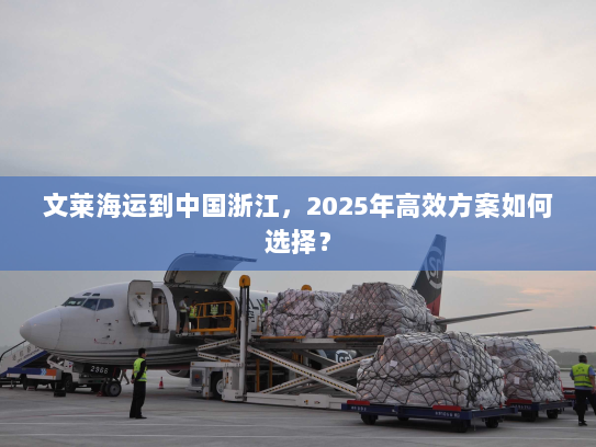 文莱海运到中国浙江，2025年高效方案如何选择？
