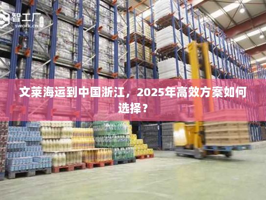 文莱海运到中国浙江，2025年高效方案如何选择？