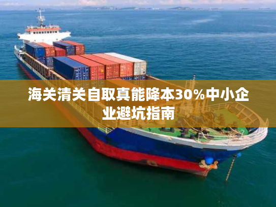 海关清关自取真能降本30%中小企业避坑指南