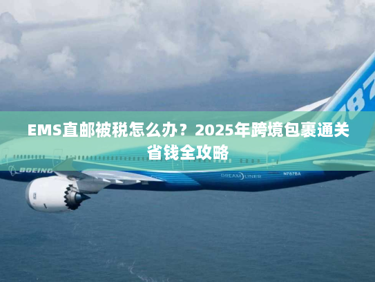 EMS直邮被税怎么办?2025年跨境包裹通关省钱全攻略 EMS直邮被税怎么办?2025年跨境包裹通关省钱全攻略