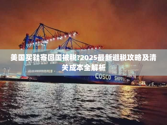 美国买鞋寄回国被税?2025最新避税攻略及清关成本全解析 美国买鞋寄回国被税?2025最新避税攻略及清关成本全解析
