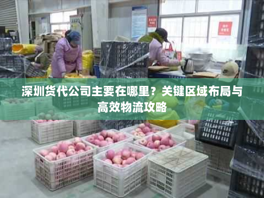 深圳货代公司主要在哪里?关键区域布局与高效物流攻略 深圳货代公司主要在哪里?关键区域布局与高效物流攻略