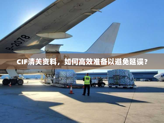CIF清关资料，如何高效准备以避免延误？