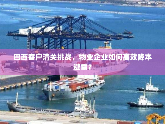 巴西客户清关挑战,物业企业如何高效降本避雷? 巴西客户清关挑战,物业企业如何高效降本避雷?