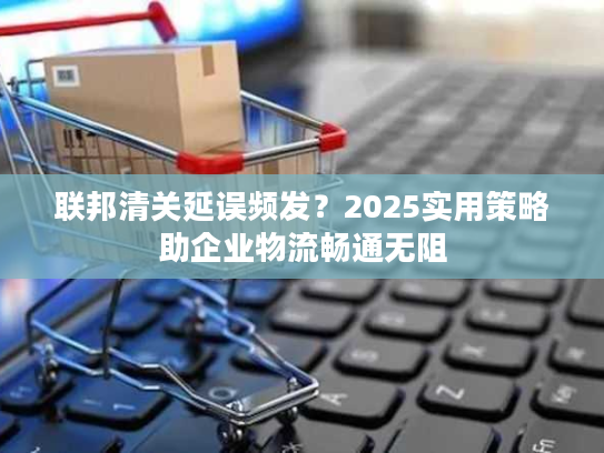联邦清关延误频发?2025实用策略助企业物流畅通无阻 联邦清关延误频发?2025实用策略助企业物流畅通无阻