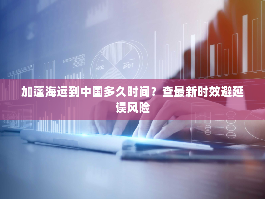加蓬海运到中国多久时间？查最新时效避延误风险