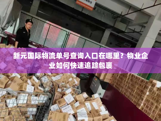 新元国际物流单号查询入口在哪里?物业企业如何快速追踪包裹 新元国际物流单号查询入口在哪里?物业企业如何快速追踪包裹