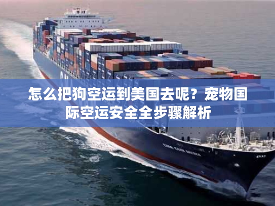 怎么把狗空运到美国去呢?宠物国际空运安全全步骤解析 怎么把狗空运到美国去呢?宠物国际空运安全全步骤解析