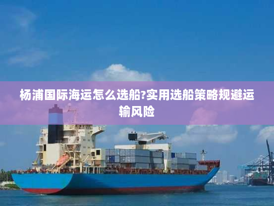 杨浦国际海运怎么选船?实用选船策略规避运输风险