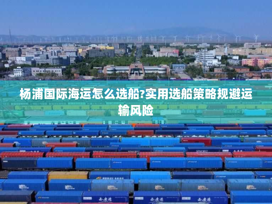 杨浦国际海运怎么选船?实用选船策略规避运输风险 杨浦国际海运怎么选船?实用选船策略规避运输风险