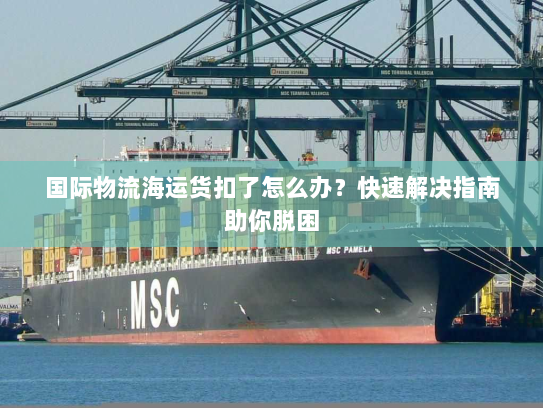 国际物流海运货扣了怎么办?快速解决指南助你脱困 国际物流海运货扣了怎么办?快速解决指南助你脱困