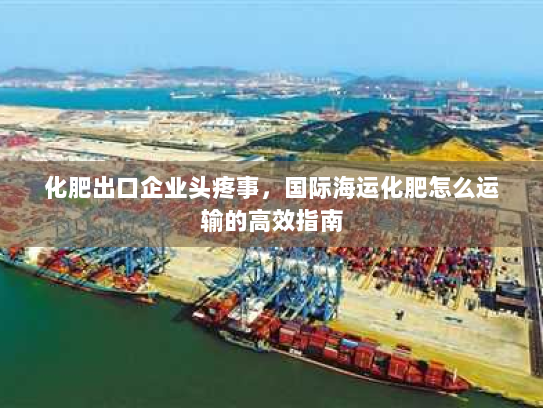 化肥出口企业头疼事，国际海运化肥怎么运输的高效指南
